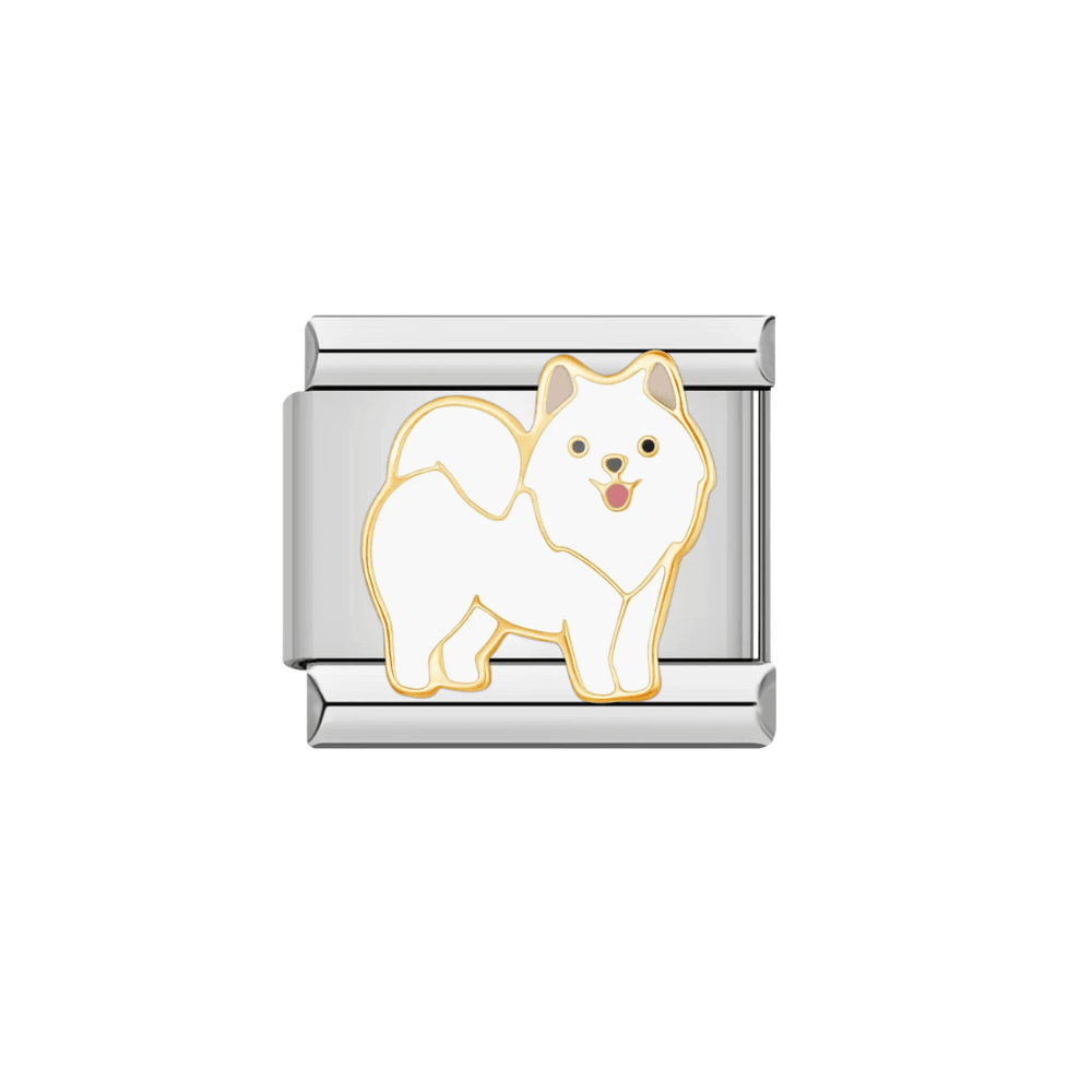 Samoyed (154)