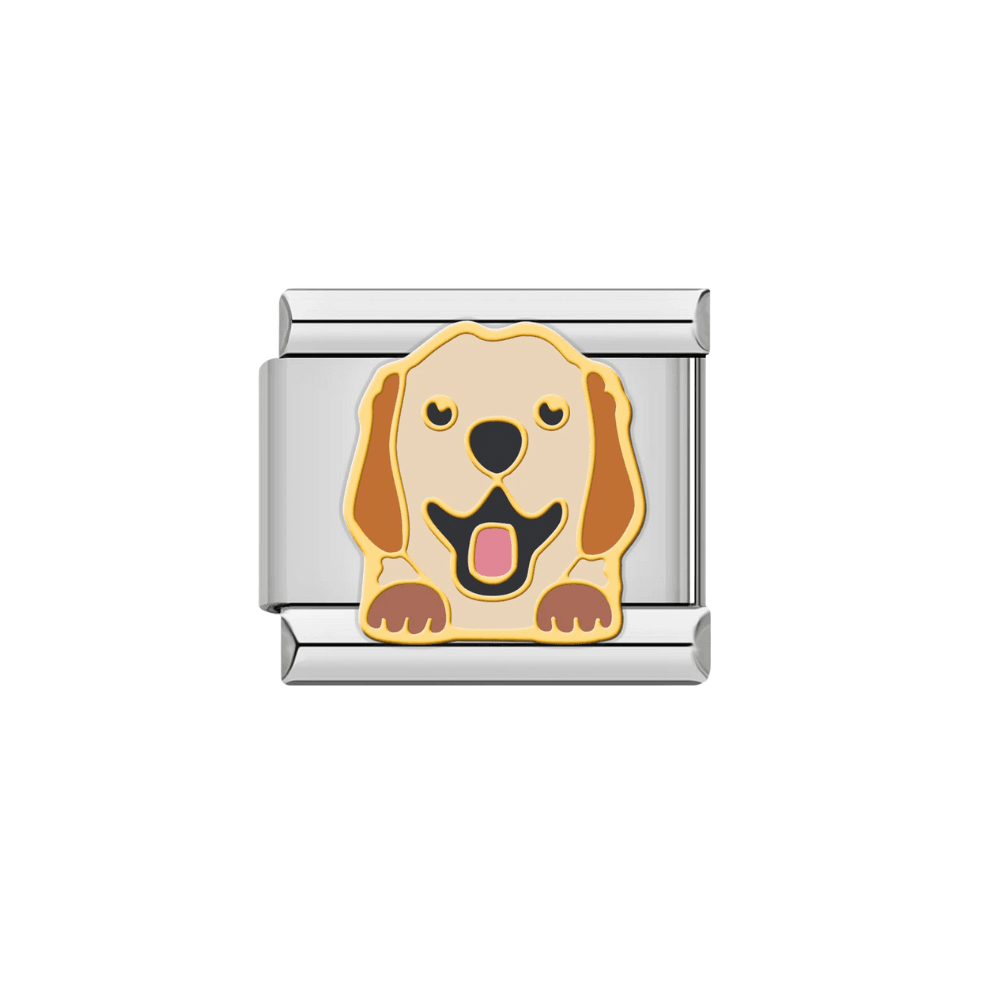 Golden retriever (115)
