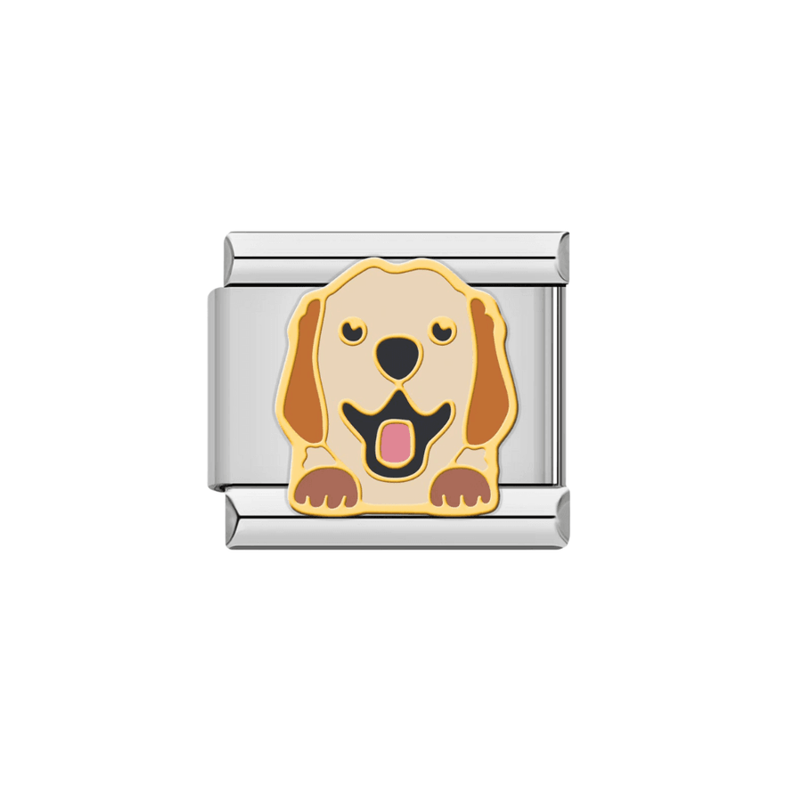Golden retriever (115)