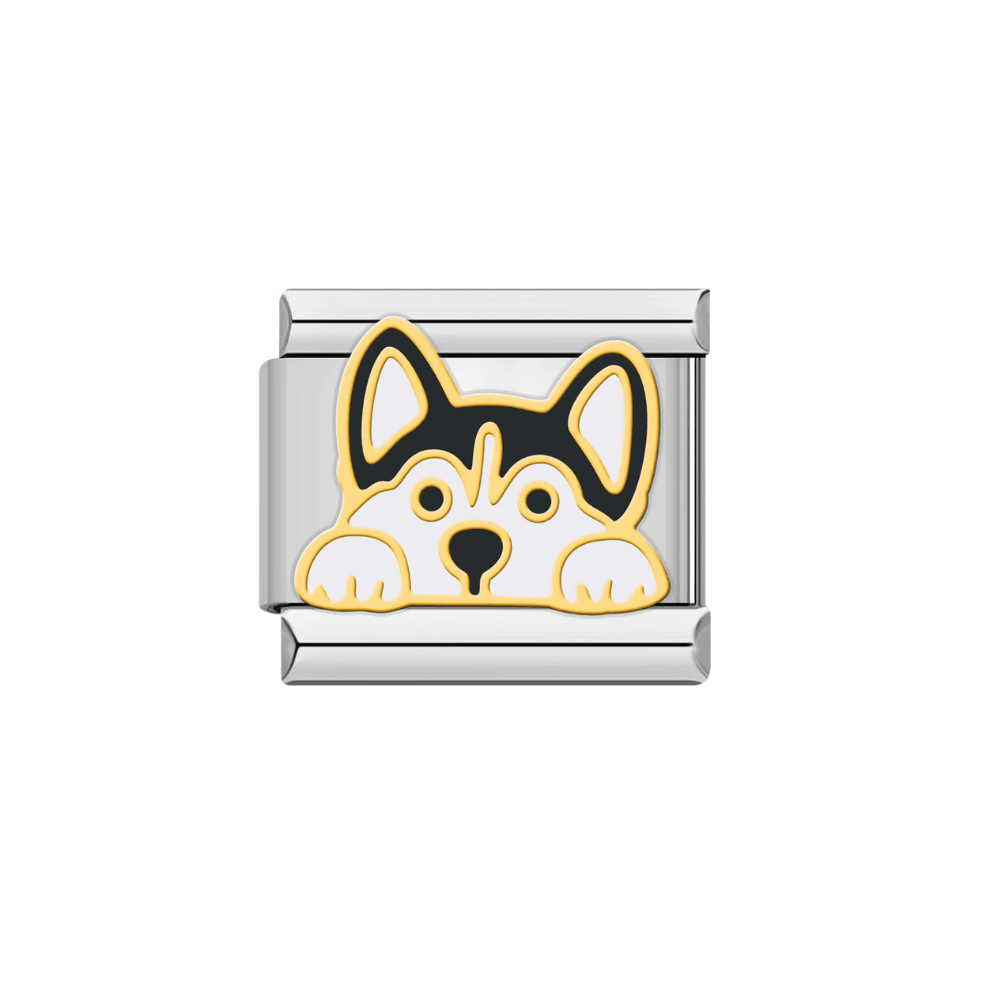 Husky (116)