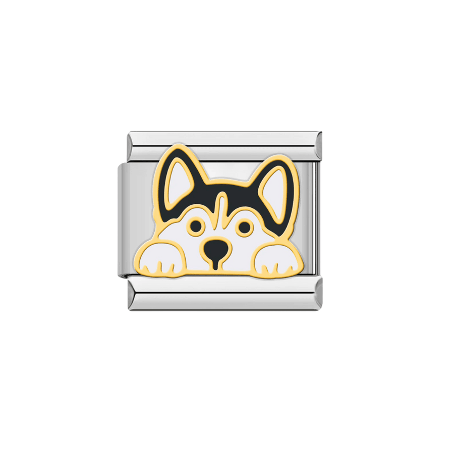 Husky (116)