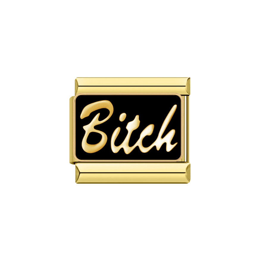 Bitch (2)